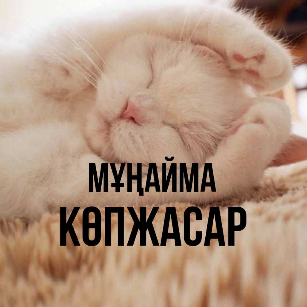 Күн сайын ашық хат с именем, Көпжасар Мұңайма Котенок спит Онлайн тегін жүктеп алу тілектері бар керемет карта 