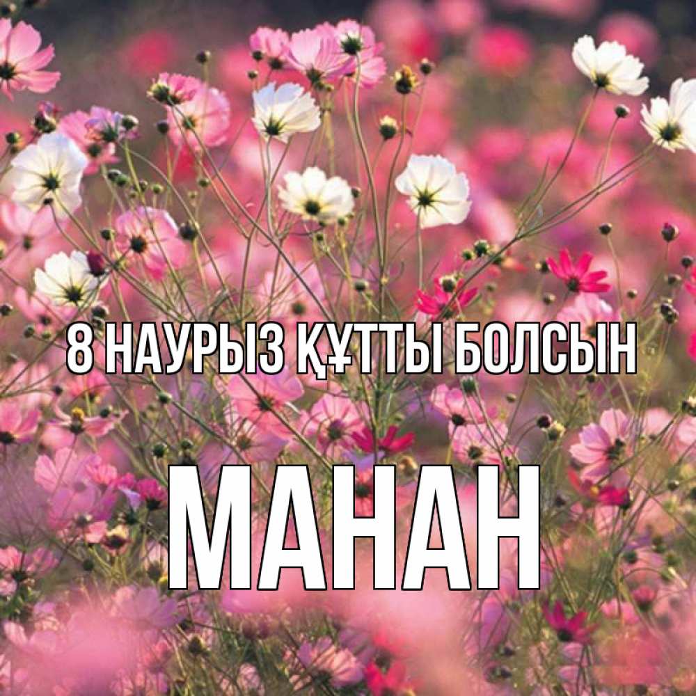 Күн сайын ашық хат с именем, МАНАН 8 наурыз құтты болсын красиво 1 Онлайн тегін жүктеп алу тілектері бар керемет карта 