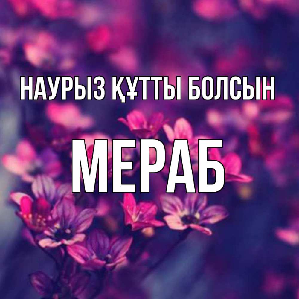 Күн сайын ашық хат с именем, Мераб Наурыз құтты болсын небольшие цветы 1 Онлайн тегін жүктеп алу тілектері бар керемет карта 