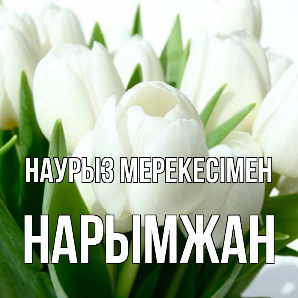 Күн сайын ашық хат с именем, НАРЫМЖАН Наурыз мерекесімен цветы Онлайн тегін жүктеп алу тілектері бар керемет карта 