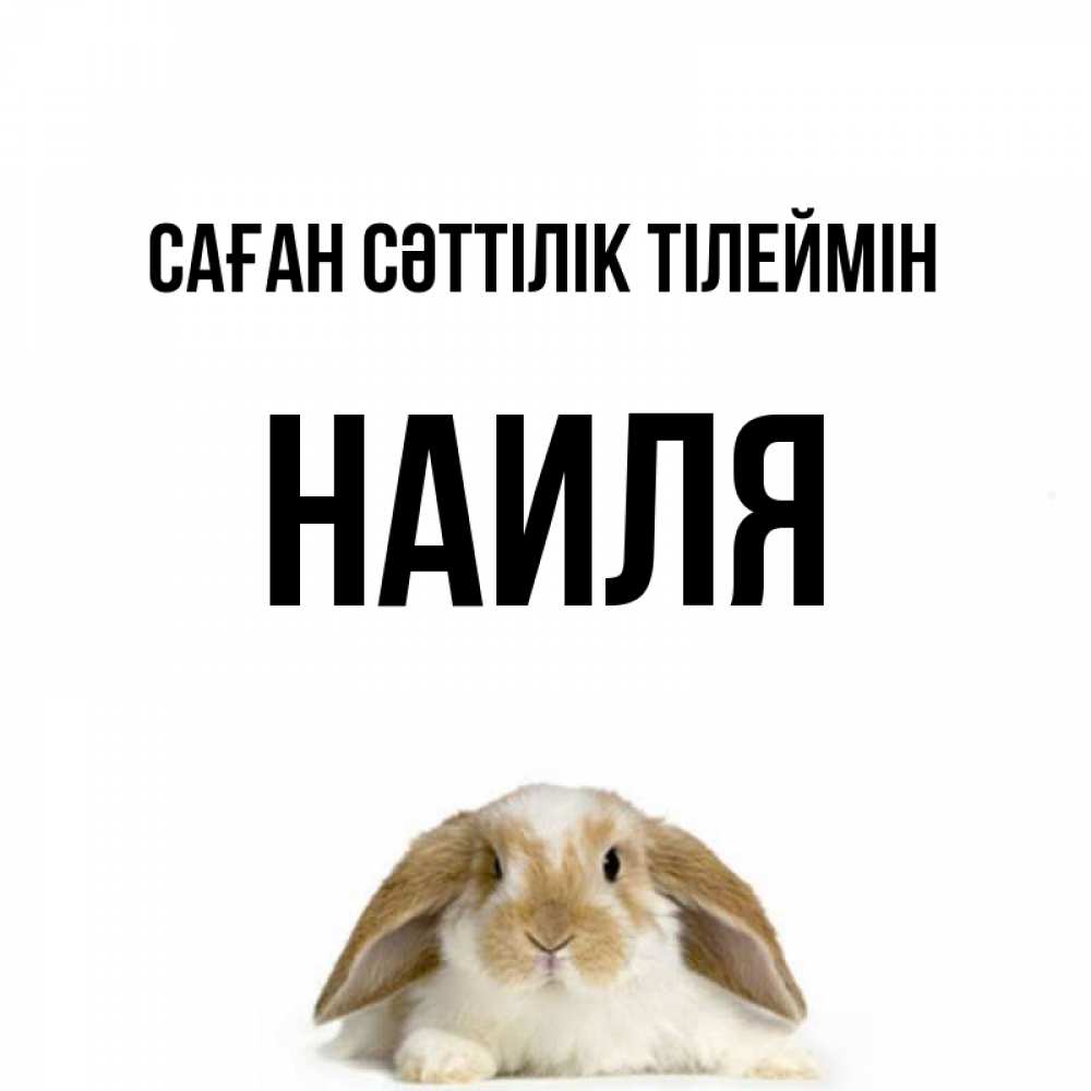 Күн сайын ашық хат с именем, Наиля Саған сәттілік тілеймін открытки с произвольным текстом который можно вставить в открытку и создать ее самостоятельно бесплатно онлайн Онлайн тегін жүктеп алу тілектері бар керемет карта 