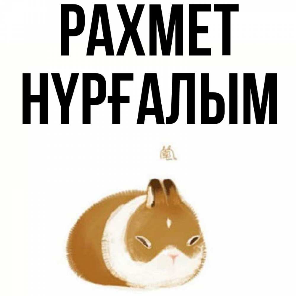Күн сайын ашық хат с именем, НҮРҒАЛЫМ рахмет коричнево белый домашний питомец Онлайн тегін жүктеп алу тілектері бар керемет карта 