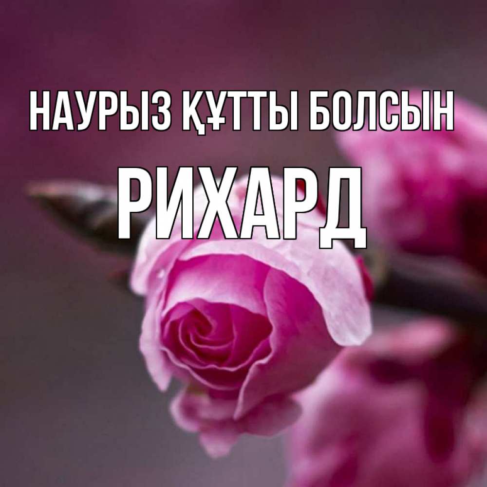 Күн сайын ашық хат с именем, Рихард Наурыз құтты болсын весна Онлайн тегін жүктеп алу тілектері бар керемет карта 