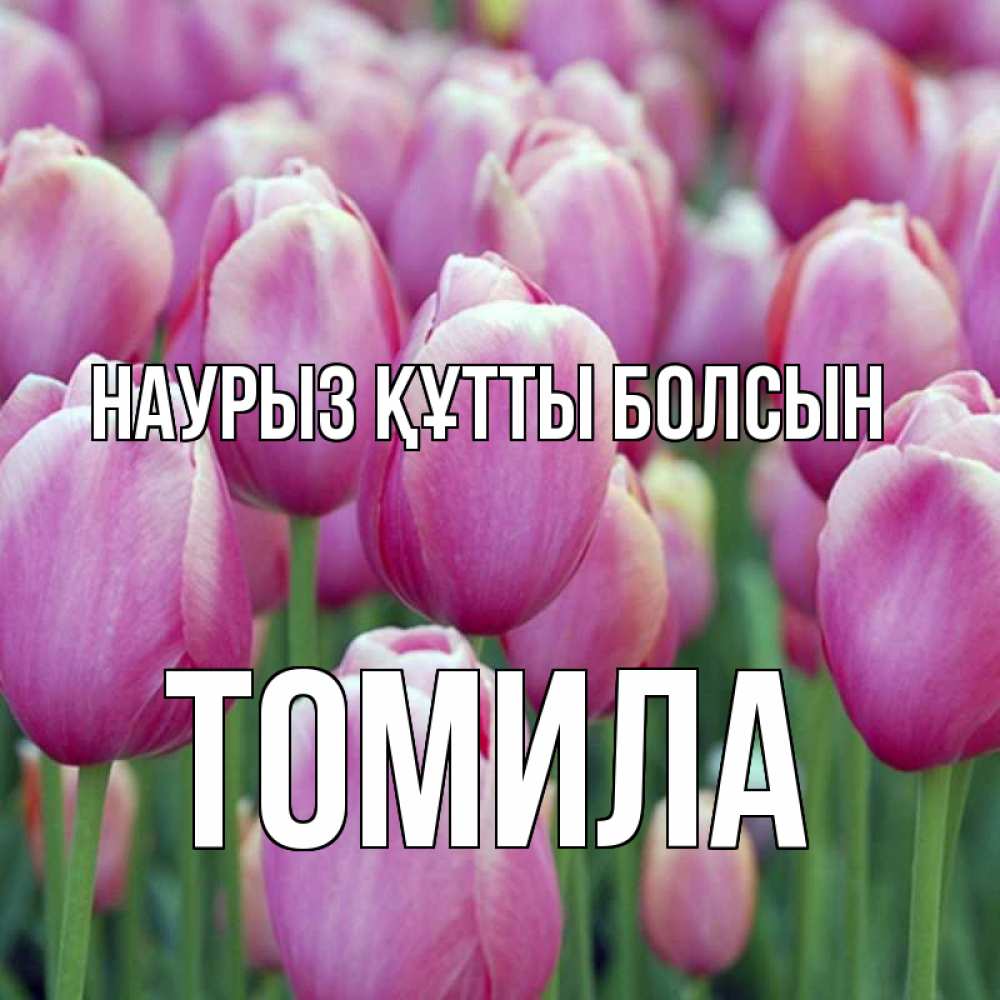 Күн сайын ашық хат с именем, Томила Наурыз құтты болсын на наурыз  день 3 Онлайн тегін жүктеп алу тілектері бар керемет карта 