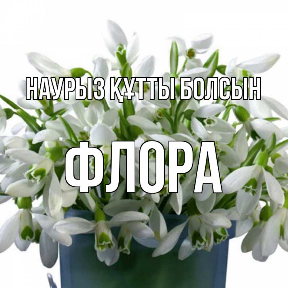 Күн сайын ашық хат с именем, Флора Наурыз құтты болсын цветы к наурызу Онлайн тегін жүктеп алу тілектері бар керемет карта 