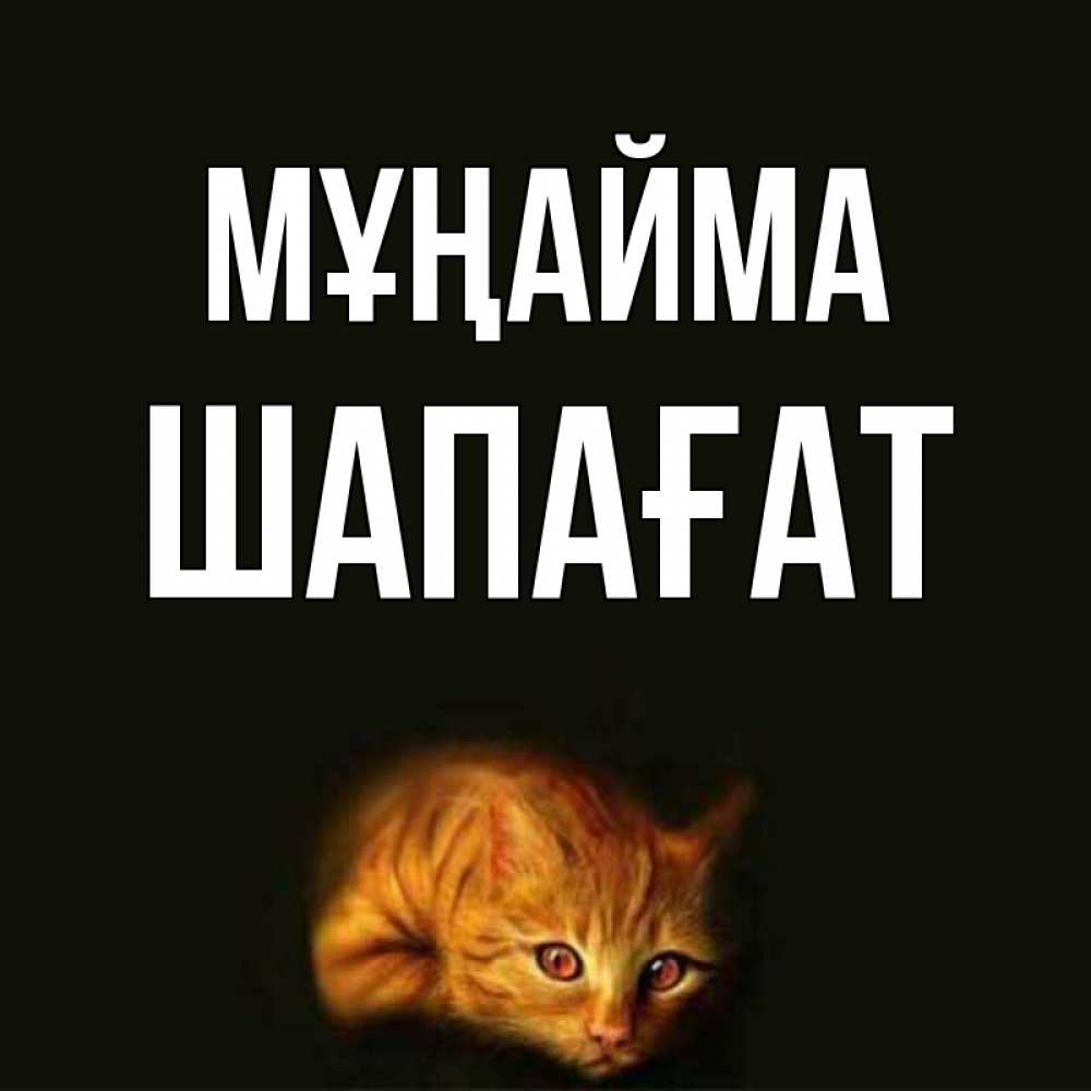 Күн сайын ашық хат с именем, ШАПАҒАТ Мұңайма лежащий кот в темноте Онлайн тегін жүктеп алу тілектері бар керемет карта 