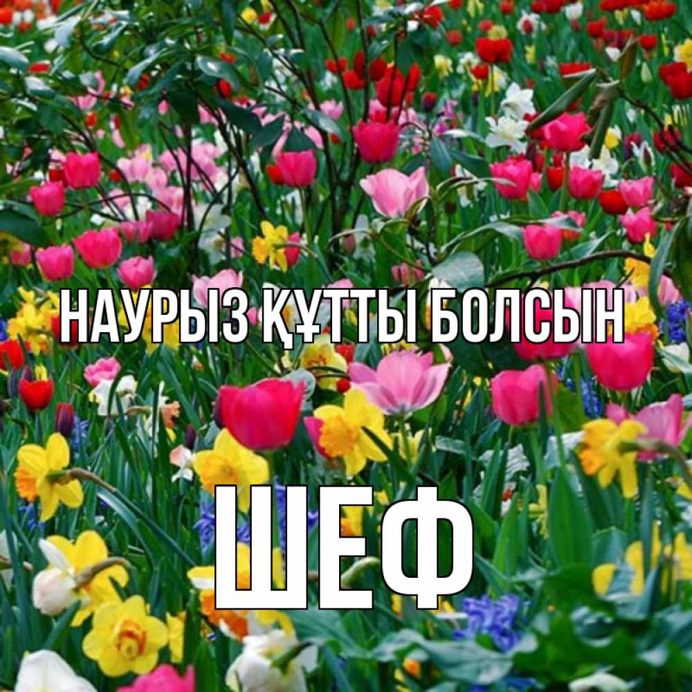 Күн сайын ашық хат с именем, Шеф Наурыз құтты болсын с наурызом поздравления для женщины Онлайн тегін жүктеп алу тілектері бар керемет карта 