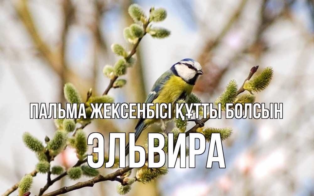 Күн сайын ашық хат с именем, Эльвира Пальма жексенбісі құтты болсын верба Онлайн тегін жүктеп алу тілектері бар керемет карта 