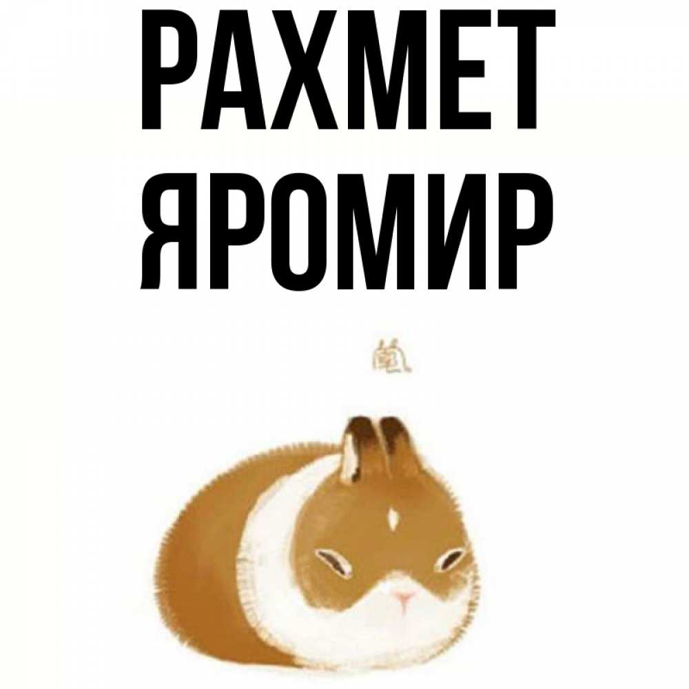 Күн сайын ашық хат с именем, Яромир рахмет коричнево белый домашний питомец Онлайн тегін жүктеп алу тілектері бар керемет карта 