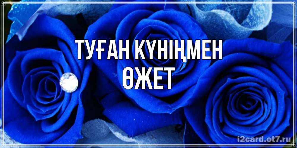 Күн сайын ашық хат с именем, ӨЖЕТ Туған күніңмен синие розы в росе Онлайн тегін жүктеп алу тілектері бар керемет карта 