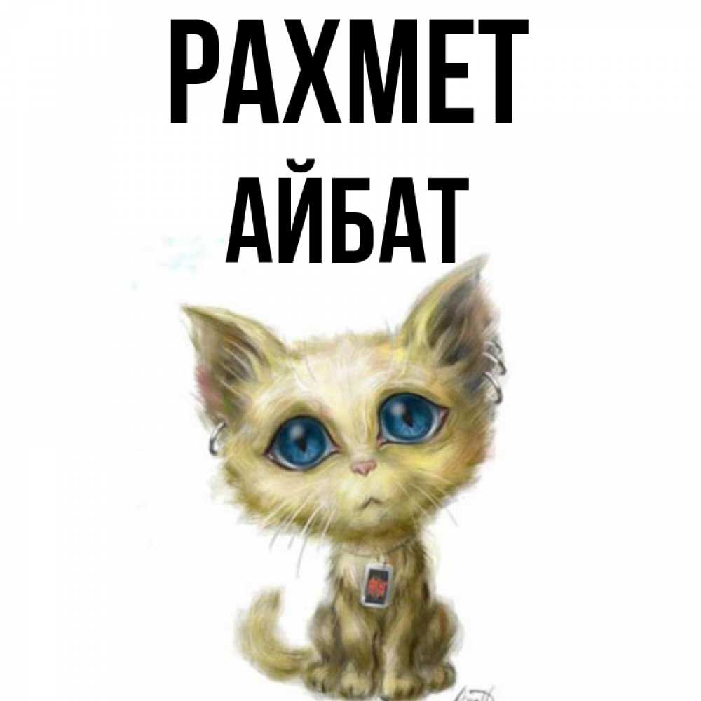 Күн сайын ашық хат с именем, Айбат рахмет рисованный кот благодарит вас Онлайн тегін жүктеп алу тілектері бар керемет карта 