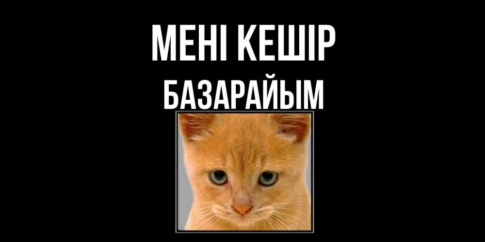 Күн сайын ашық хат с именем, БАЗАРАЙЫМ Мені кешір рыжий грустный кот просит прощения Онлайн тегін жүктеп алу тілектері бар керемет карта 