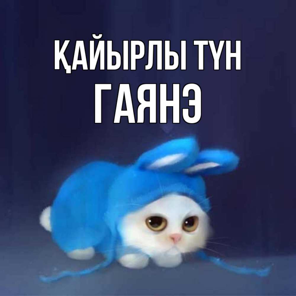 Күн сайын ашық хат с именем, Гаянэ Қайырлы түн кот в голубом костюме кролика с ушками Онлайн тегін жүктеп алу тілектері бар керемет карта 