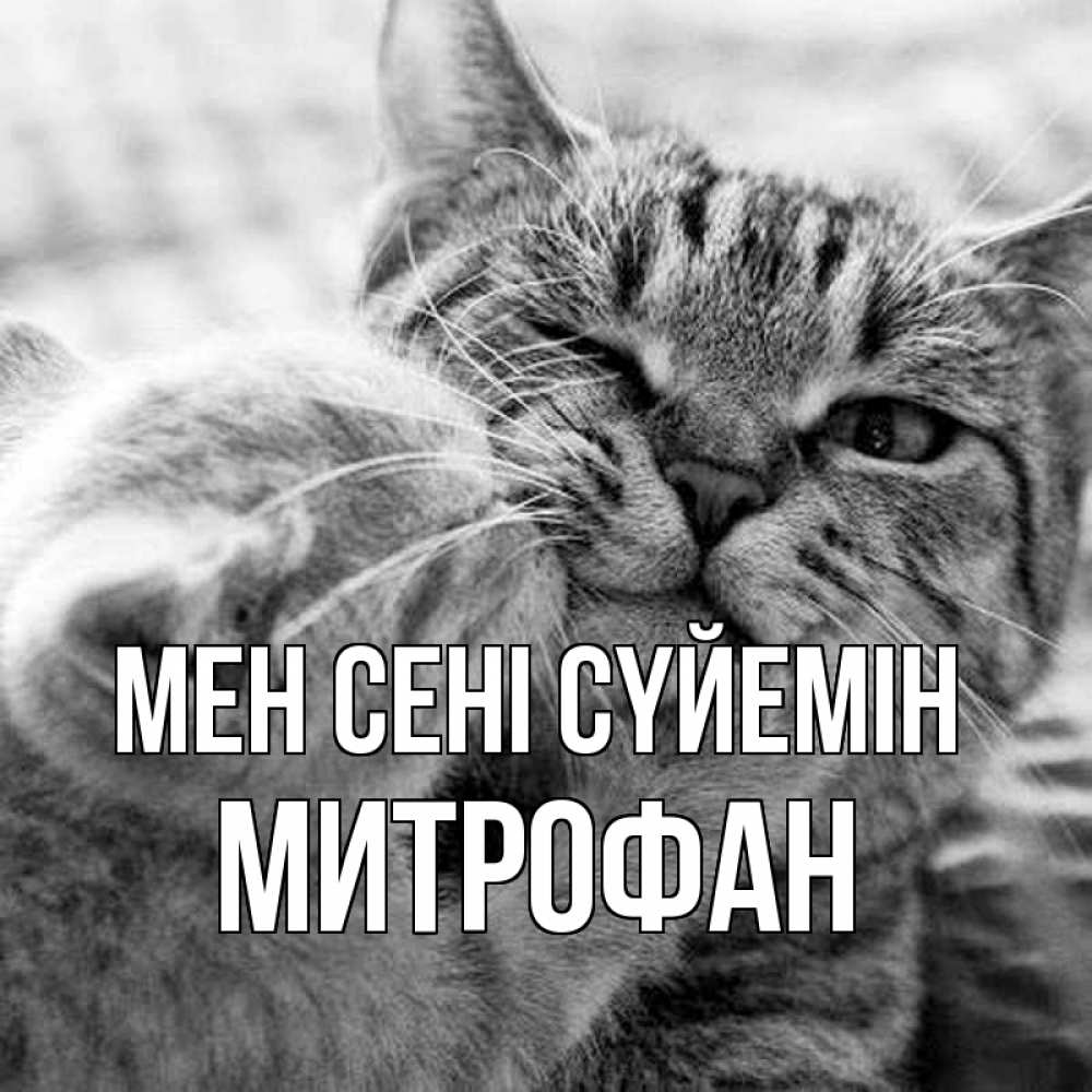 Күн сайын ашық хат с именем, Митрофан Мен сені сүйемін коты Онлайн тегін жүктеп алу тілектері бар керемет карта 