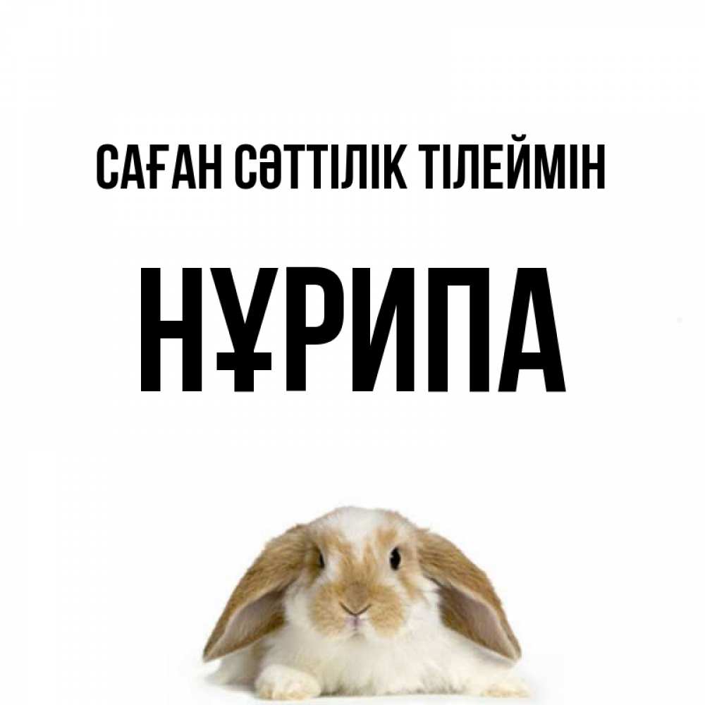 Күн сайын ашық хат с именем, НҰРИПА Саған сәттілік тілеймін открытки с произвольным текстом который можно вставить в открытку и создать ее самостоятельно бесплатно онлайн Онлайн тегін жүктеп алу тілектері бар керемет карта 