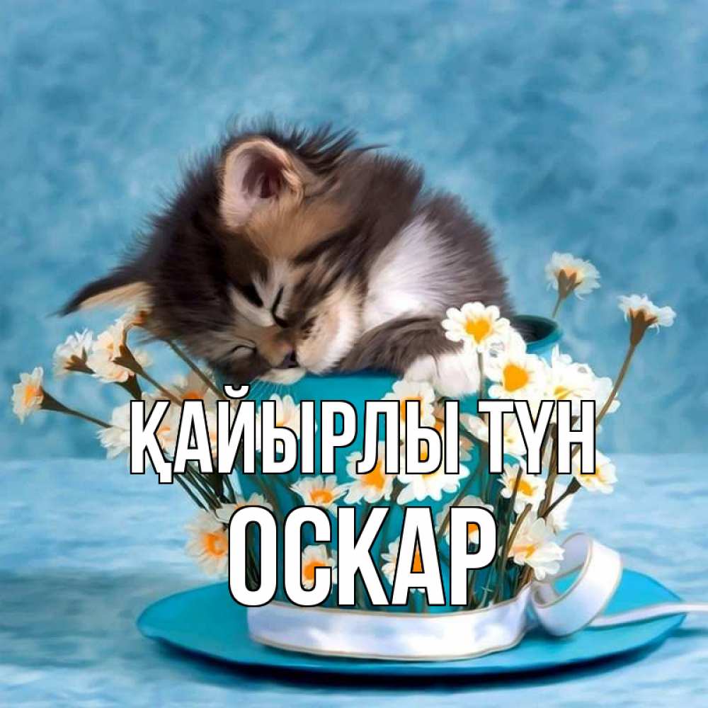 Күн сайын ашық хат с именем, Оскар Қайырлы түн котенок спит в кружке с блюдцем Онлайн тегін жүктеп алу тілектері бар керемет карта 