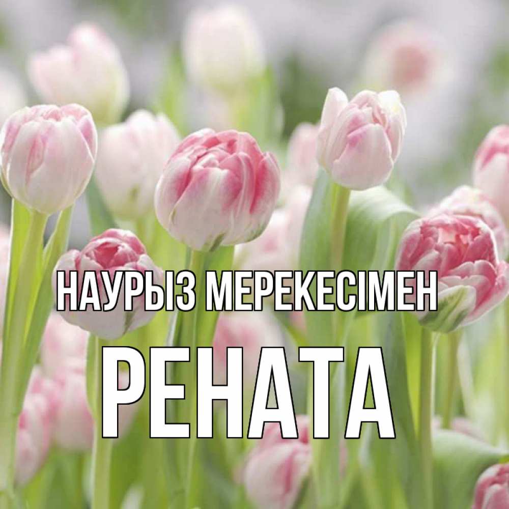 Күн сайын ашық хат с именем, Рената Наурыз мерекесімен цветы Онлайн тегін жүктеп алу тілектері бар керемет карта 