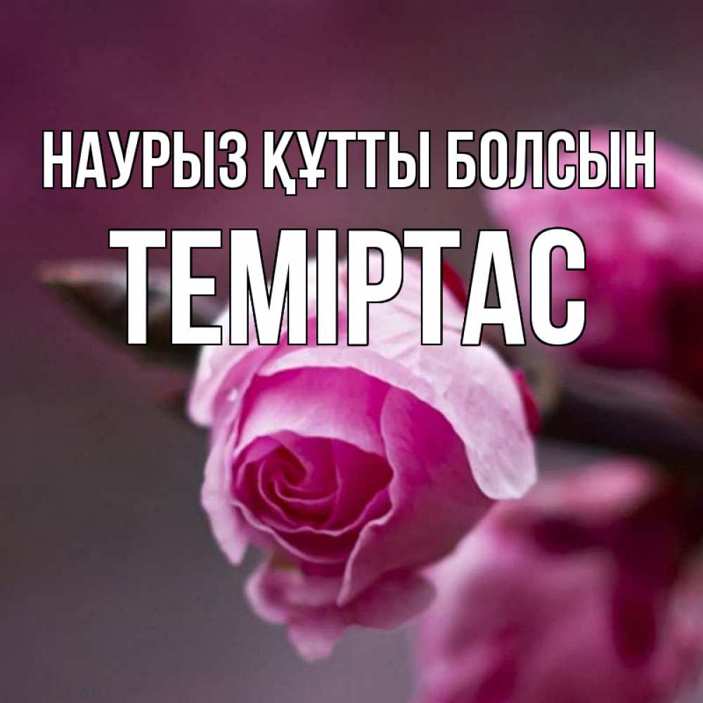Күн сайын ашық хат с именем, ТЕМІРТАС Наурыз құтты болсын весна Онлайн тегін жүктеп алу тілектері бар керемет карта 