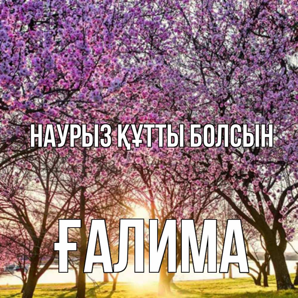 Күн сайын ашық хат с именем, ҒАЛИМА Наурыз құтты болсын наурыз Онлайн тегін жүктеп алу тілектері бар керемет карта 