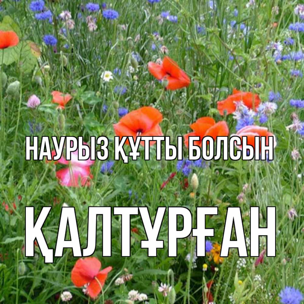 Күн сайын ашық хат с именем, ҚАЛТҰРҒАН Наурыз құтты болсын наурыз  4 Онлайн тегін жүктеп алу тілектері бар керемет карта 