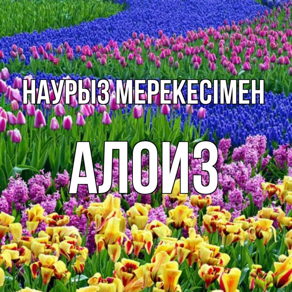 Күн сайын ашық хат с именем, Алоиз Наурыз мерекесімен цветы Онлайн тегін жүктеп алу тілектері бар керемет карта 