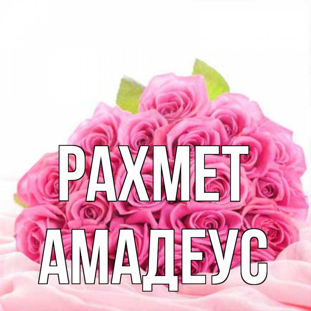 Күн сайын ашық хат с именем, Амадеус рахмет розовые розы с подписью Онлайн тегін жүктеп алу тілектері бар керемет карта 