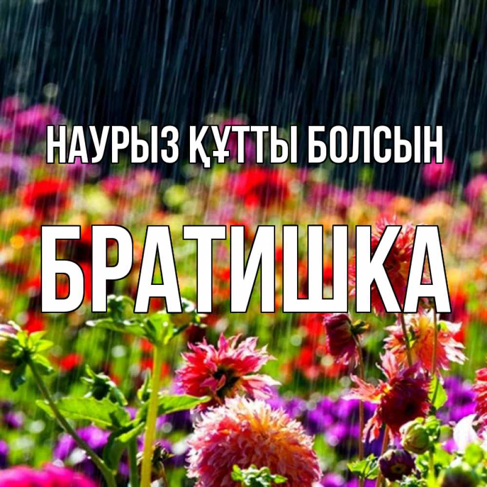 Күн сайын ашық хат с именем, Братишка Наурыз құтты болсын цветы под дождиком к наурызу Онлайн тегін жүктеп алу тілектері бар керемет карта 