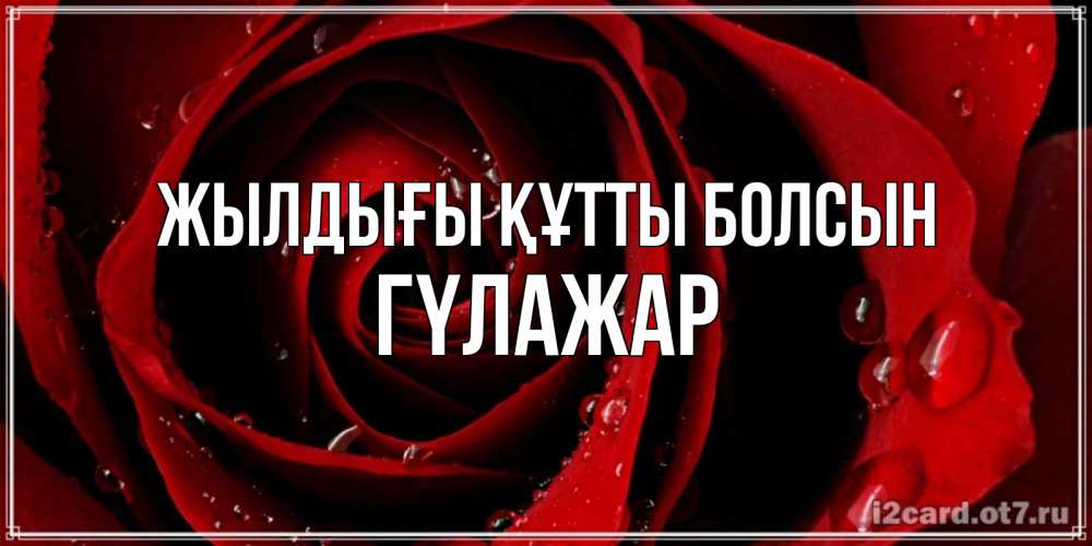 Күн сайын ашық хат с именем, ГҮЛАЖАР Жылдығы құтты болсын крупная бордовая роза Онлайн тегін жүктеп алу тілектері бар керемет карта 