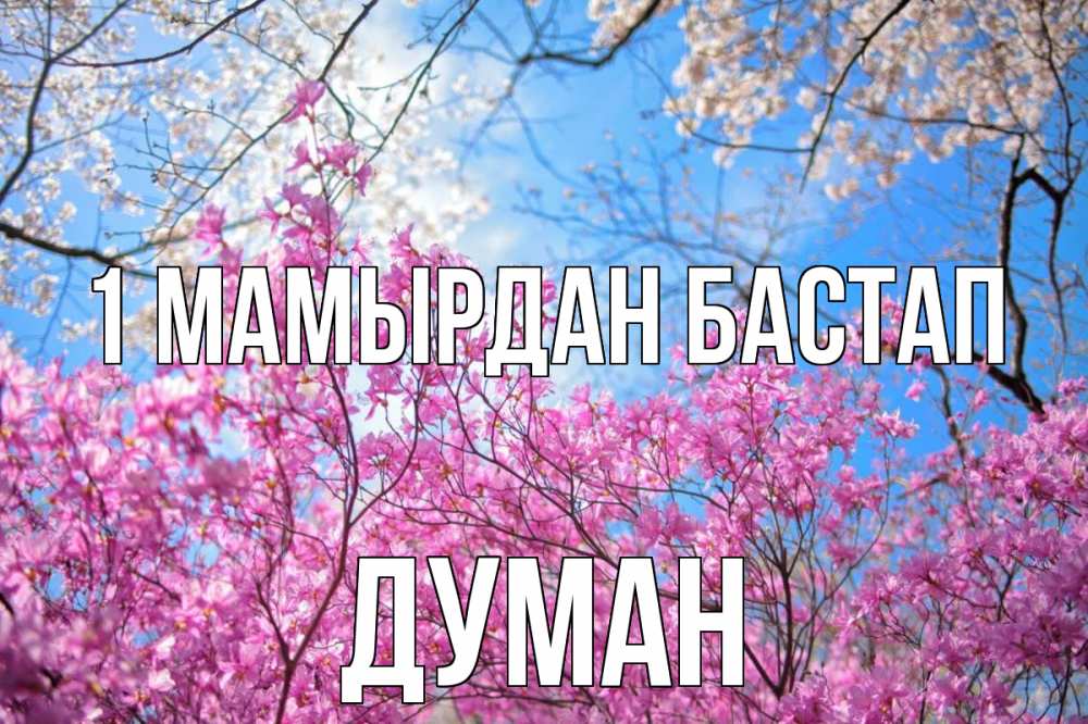 Күн сайын ашық хат с именем, Думан 1 мамырдан бастап С 1 мая Онлайн тегін жүктеп алу тілектері бар керемет карта 