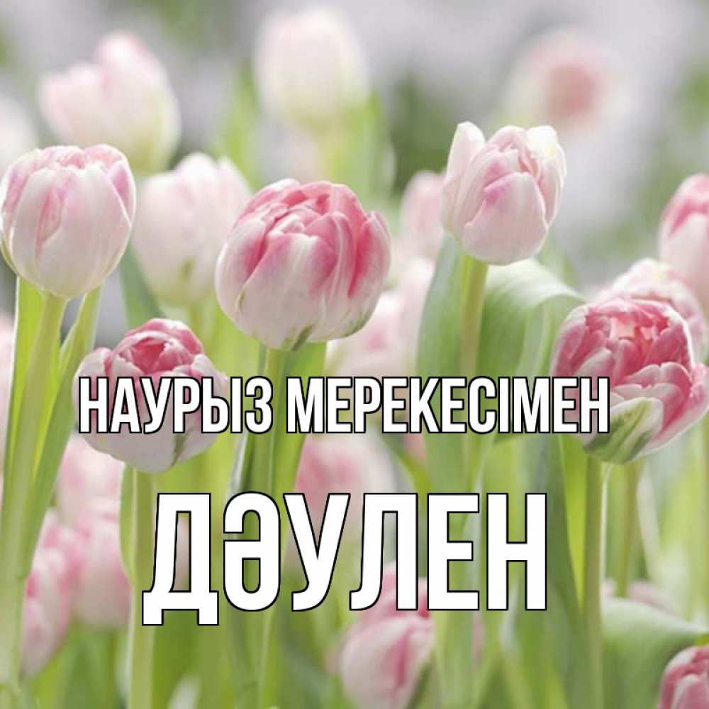 Күн сайын ашық хат с именем, Дәулен Наурыз мерекесімен цветы Онлайн тегін жүктеп алу тілектері бар керемет карта 