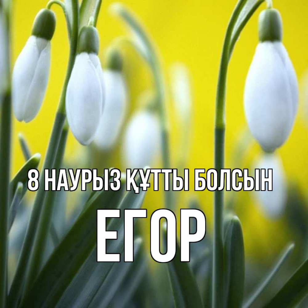 Күн сайын ашық хат с именем, Егор 8 наурыз құтты болсын весенние цветы Онлайн тегін жүктеп алу тілектері бар керемет карта 