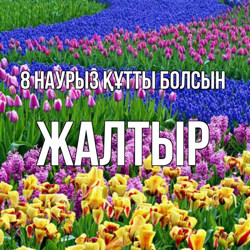 Күн сайын ашық хат с именем, Жалтыр 8 наурыз құтты болсын цветы Онлайн тегін жүктеп алу тілектері бар керемет карта 