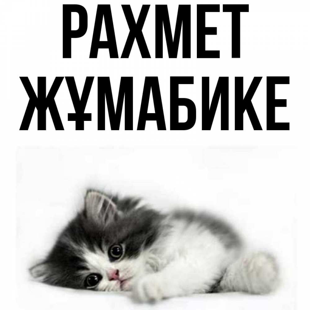Күн сайын ашық хат с именем, ЖҰМАБИКЕ рахмет черный и белый кот Онлайн тегін жүктеп алу тілектері бар керемет карта 