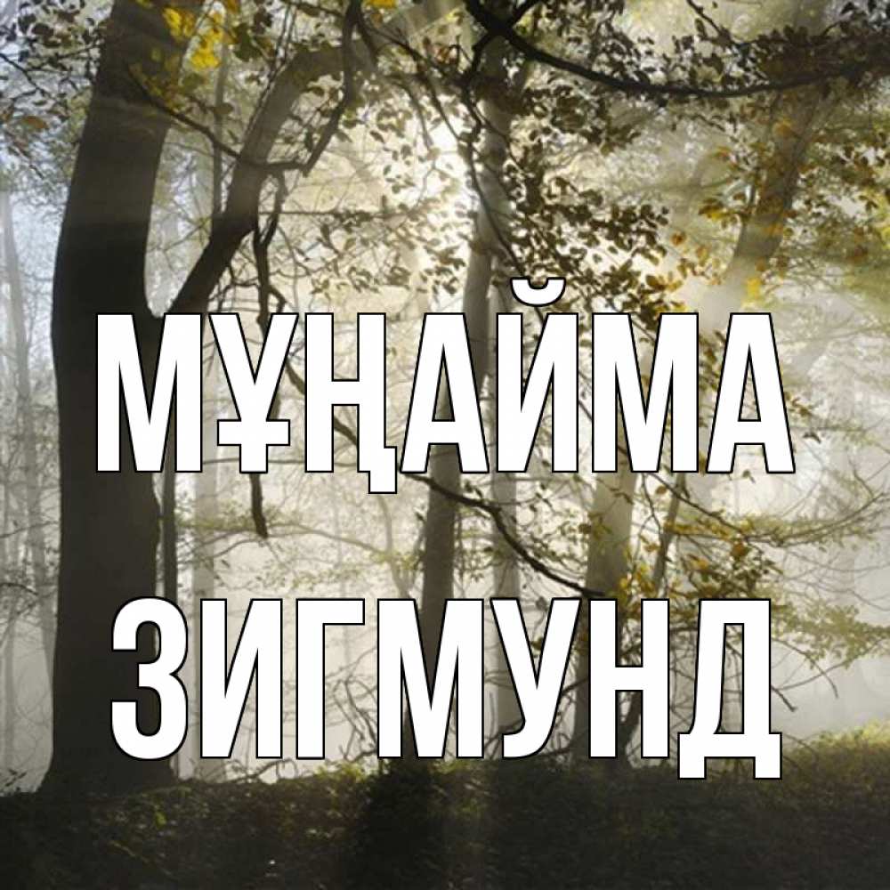 Күн сайын ашық хат с именем, Зигмунд Мұңайма лес и свет Онлайн тегін жүктеп алу тілектері бар керемет карта 