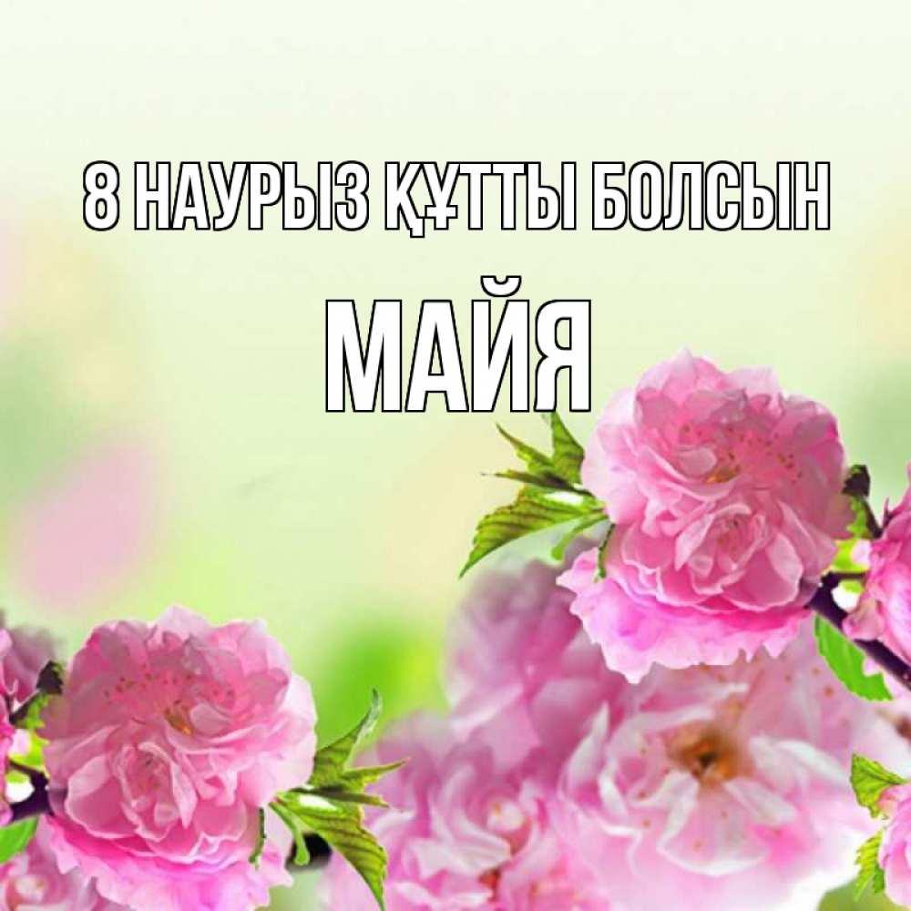 Күн сайын ашық хат с именем, Майя 8 наурыз құтты болсын цветы Онлайн тегін жүктеп алу тілектері бар керемет карта 