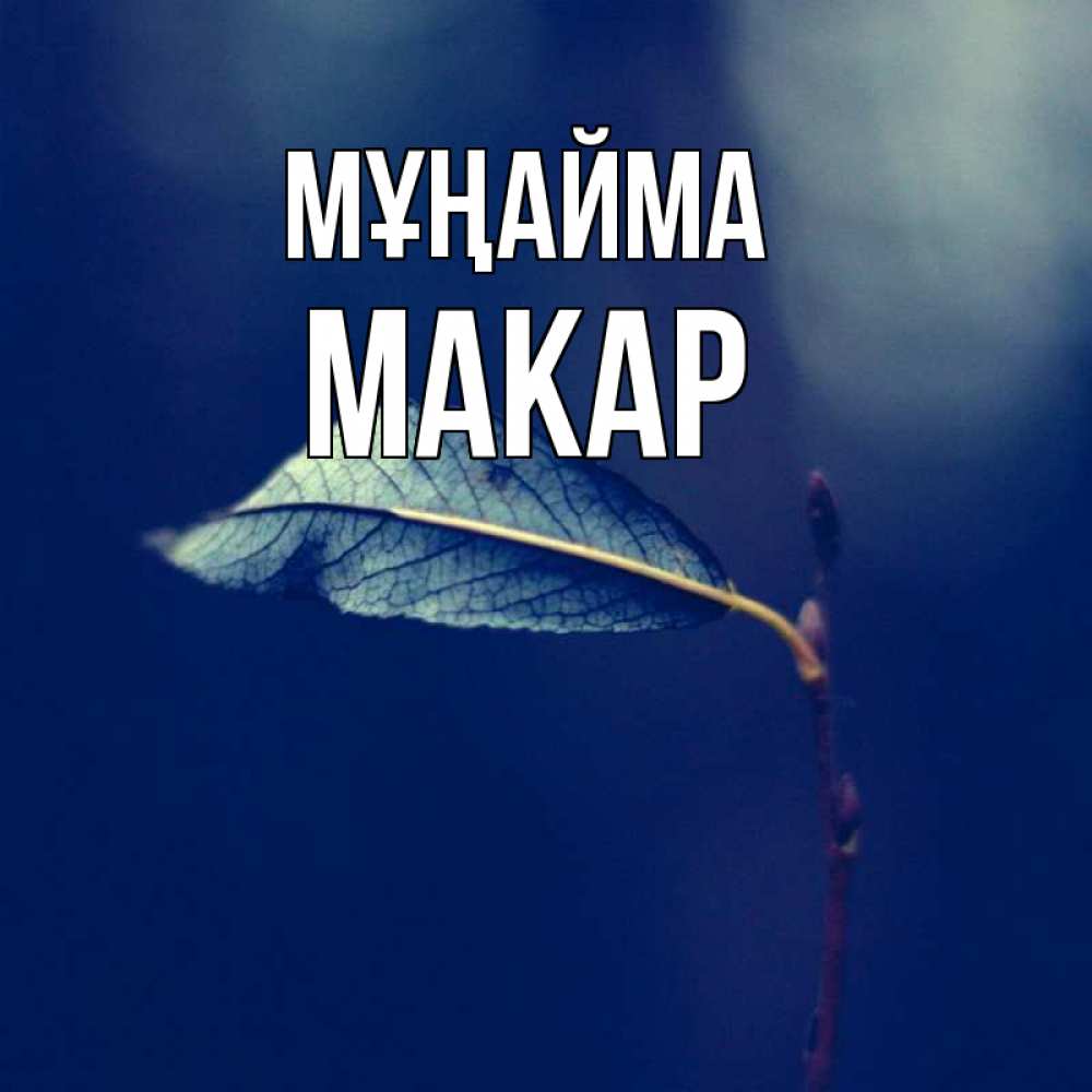 Күн сайын ашық хат с именем, Макар Мұңайма растение Онлайн тегін жүктеп алу тілектері бар керемет карта 