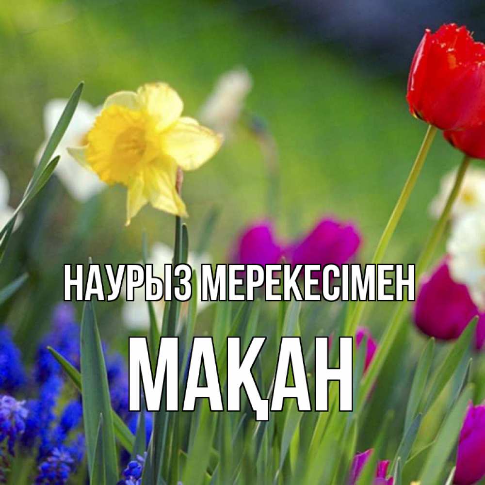 Күн сайын ашық хат с именем, Мақан Наурыз мерекесімен праздник весны наурыз 3 Онлайн тегін жүктеп алу тілектері бар керемет карта 