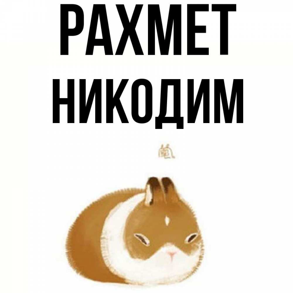 Күн сайын ашық хат с именем, Никодим рахмет коричнево белый домашний питомец Онлайн тегін жүктеп алу тілектері бар керемет карта 