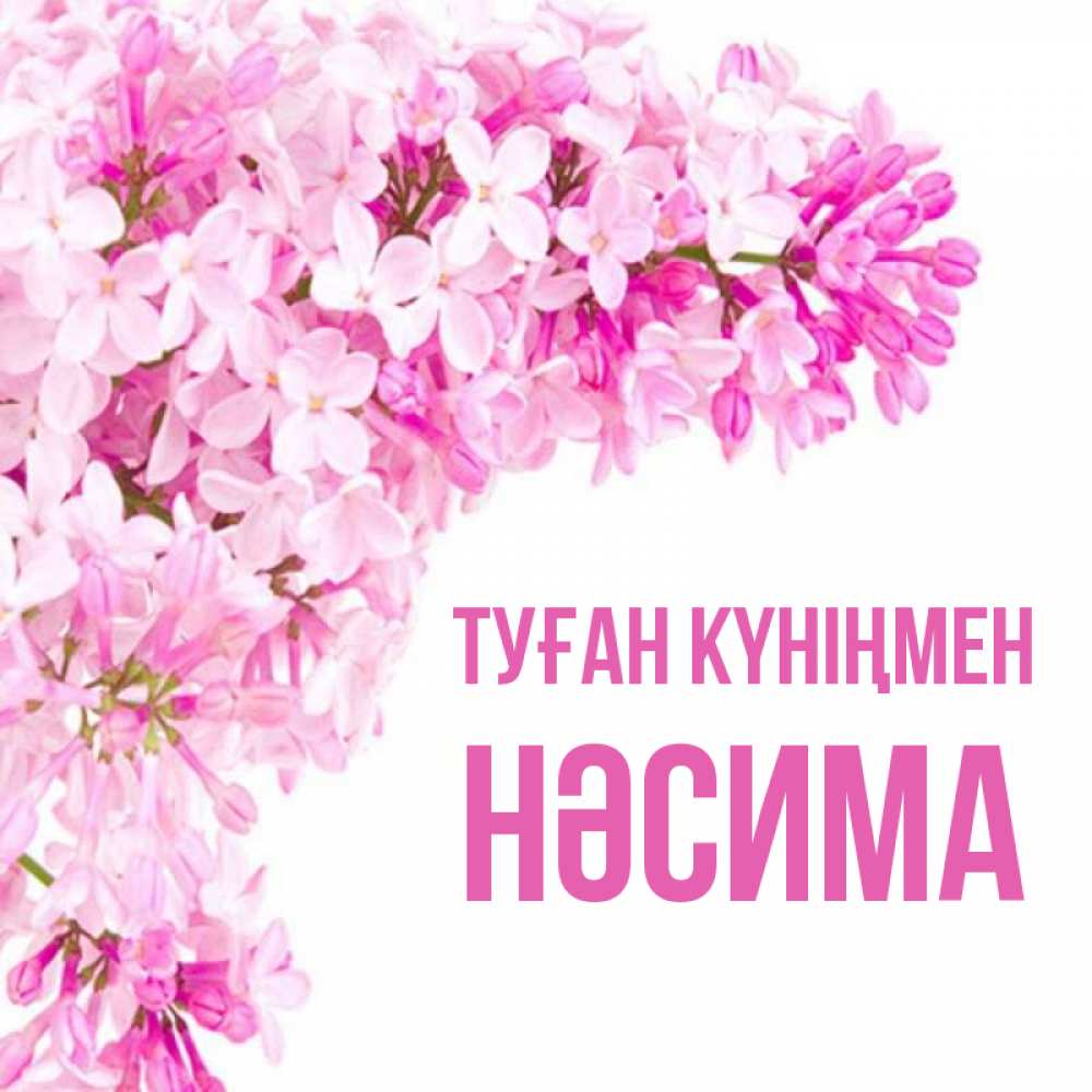 Күн сайын ашық хат с именем, НӘСИМА Туған күніңмен Сирень на белом фоне Онлайн тегін жүктеп алу тілектері бар керемет карта 