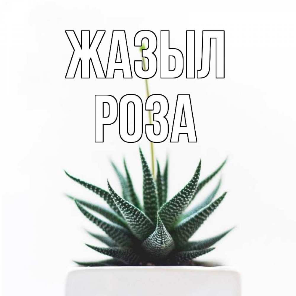 Күн сайын ашық хат с именем, РОЗА Жазыл короче это непонятная колючка Онлайн тегін жүктеп алу тілектері бар керемет карта 
