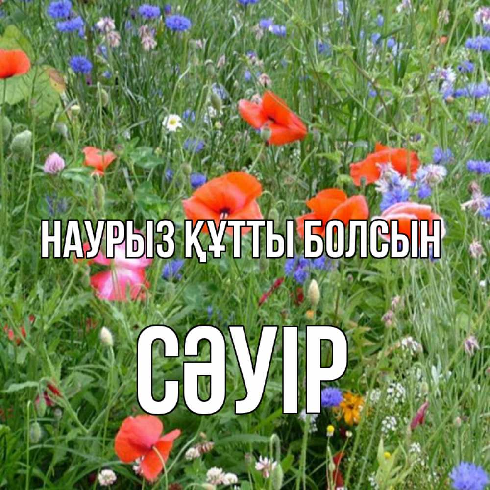 Күн сайын ашық хат с именем, СӘУІР Наурыз құтты болсын наурыз  4 Онлайн тегін жүктеп алу тілектері бар керемет карта 