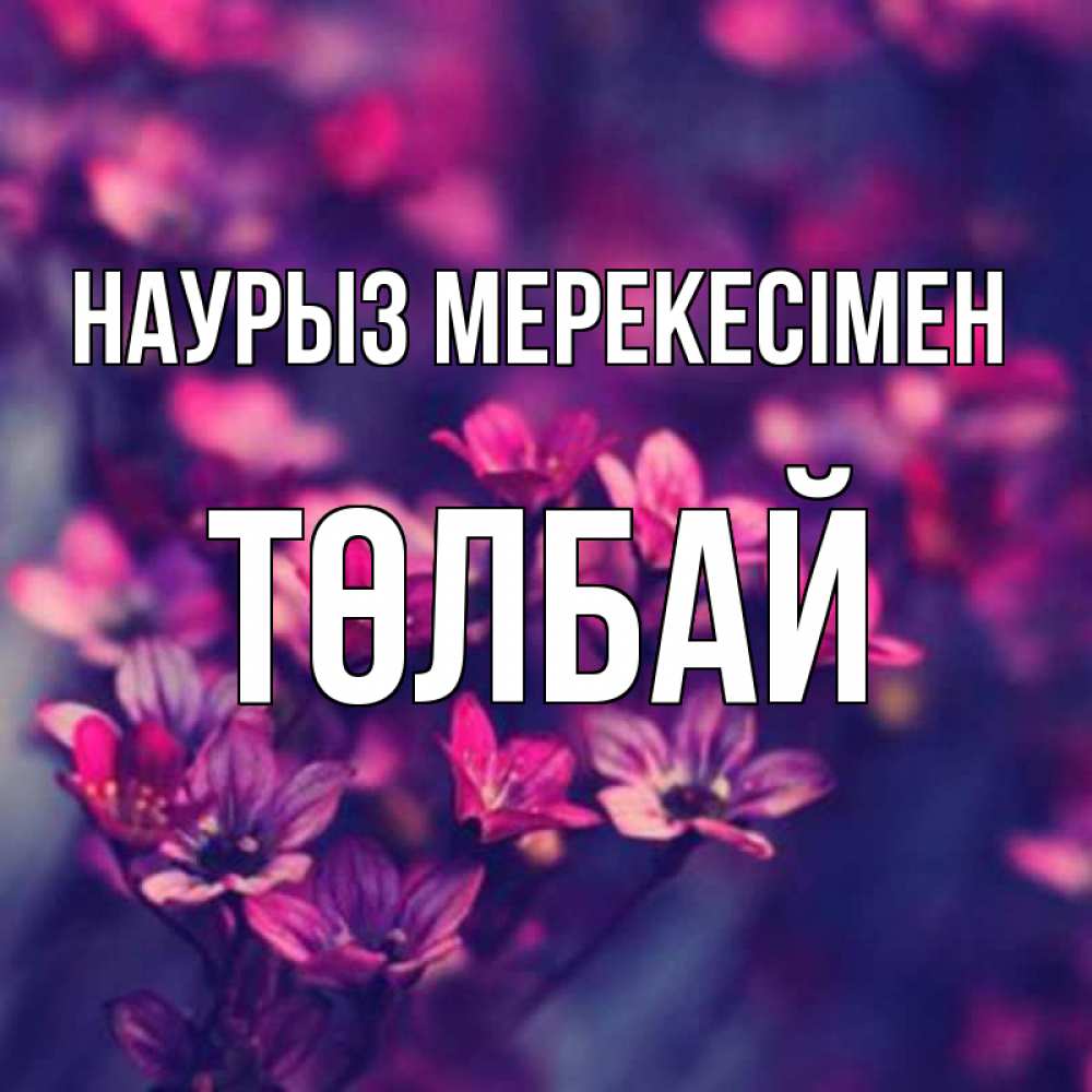 Күн сайын ашық хат с именем, ТӨЛБАЙ Наурыз мерекесімен небольшие цветы 1 Онлайн тегін жүктеп алу тілектері бар керемет карта 