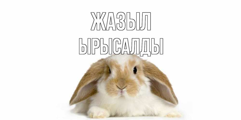 Күн сайын ашық хат с именем, ЫРЫСАЛДЫ Жазыл вислоухий кролик белого и коричневого цвета Онлайн тегін жүктеп алу тілектері бар керемет карта 
