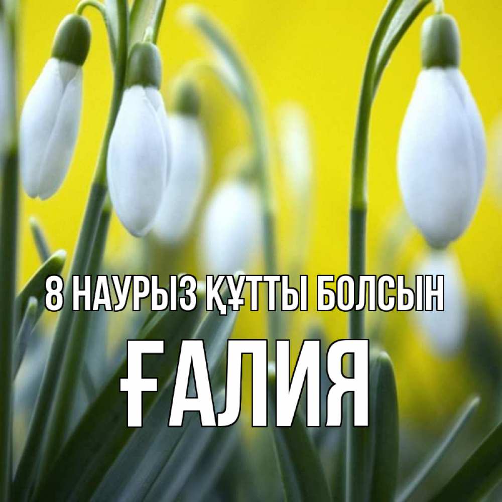 Күн сайын ашық хат с именем, ҒАЛИЯ 8 наурыз құтты болсын весенние цветы Онлайн тегін жүктеп алу тілектері бар керемет карта 