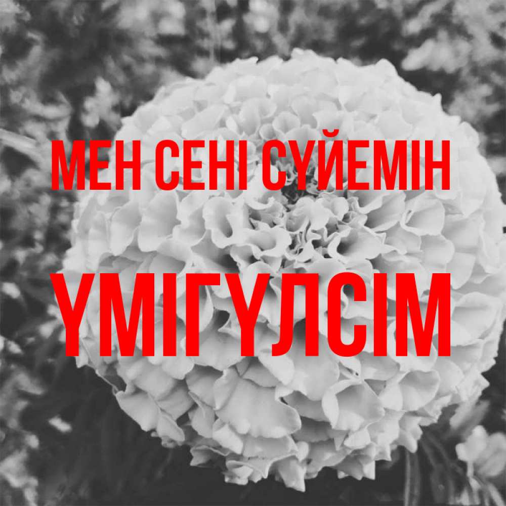 Күн сайын ашық хат с именем, ҮМІГҮЛСІМ Мен сені сүйемін подпись Онлайн тегін жүктеп алу тілектері бар керемет карта 