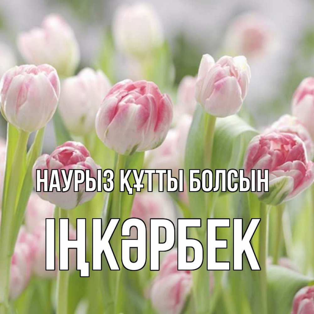 Күн сайын ашық хат с именем, ІҢКӘРБЕК Наурыз құтты болсын цветы Онлайн тегін жүктеп алу тілектері бар керемет карта 