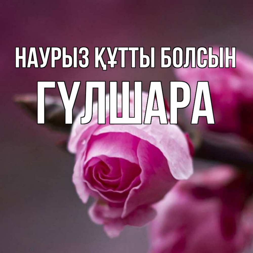 Күн сайын ашық хат с именем, ГҮЛШАРА Наурыз құтты болсын весна Онлайн тегін жүктеп алу тілектері бар керемет карта 