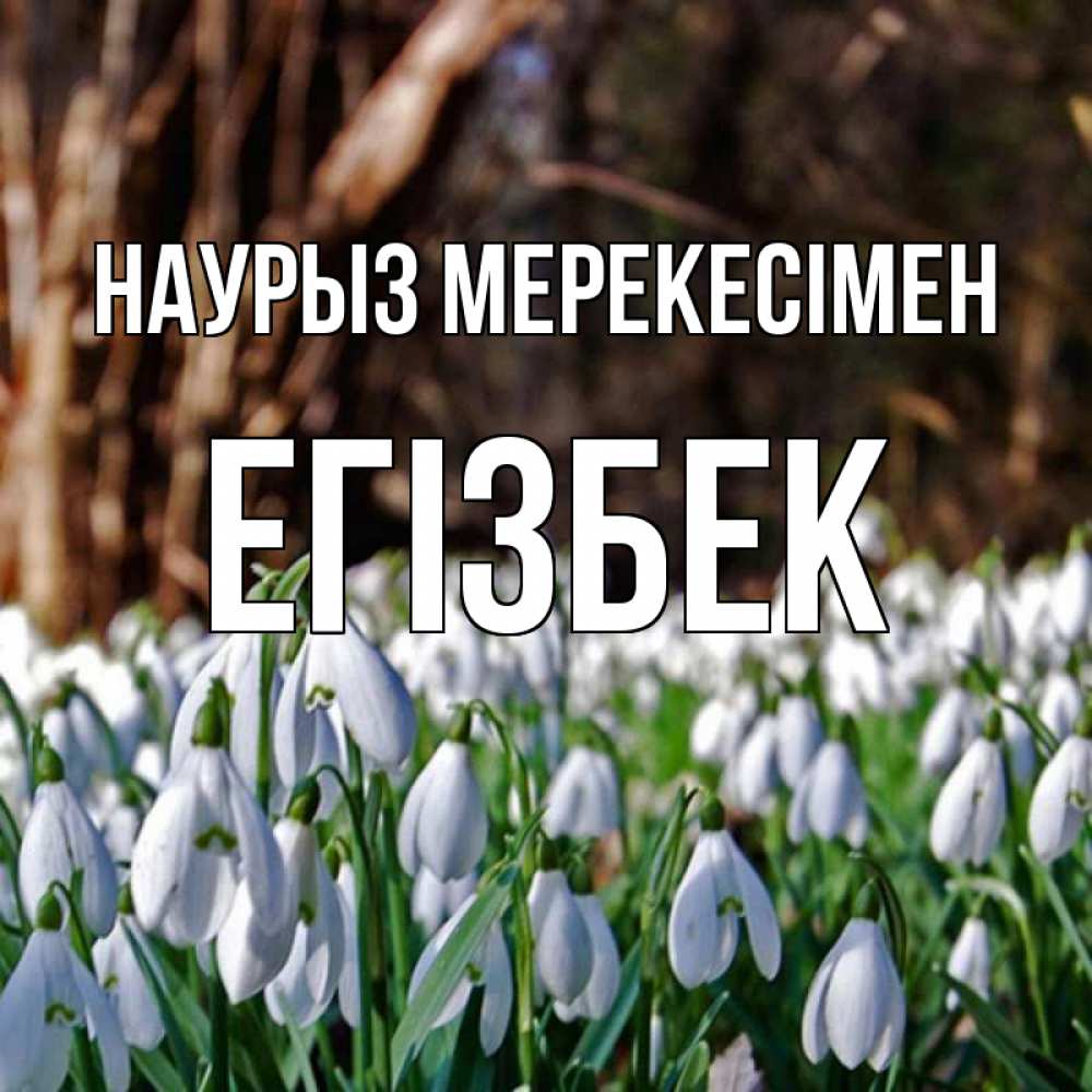 Күн сайын ашық хат с именем, Егізбек Наурыз мерекесімен с подснежниками 1 Онлайн тегін жүктеп алу тілектері бар керемет карта 