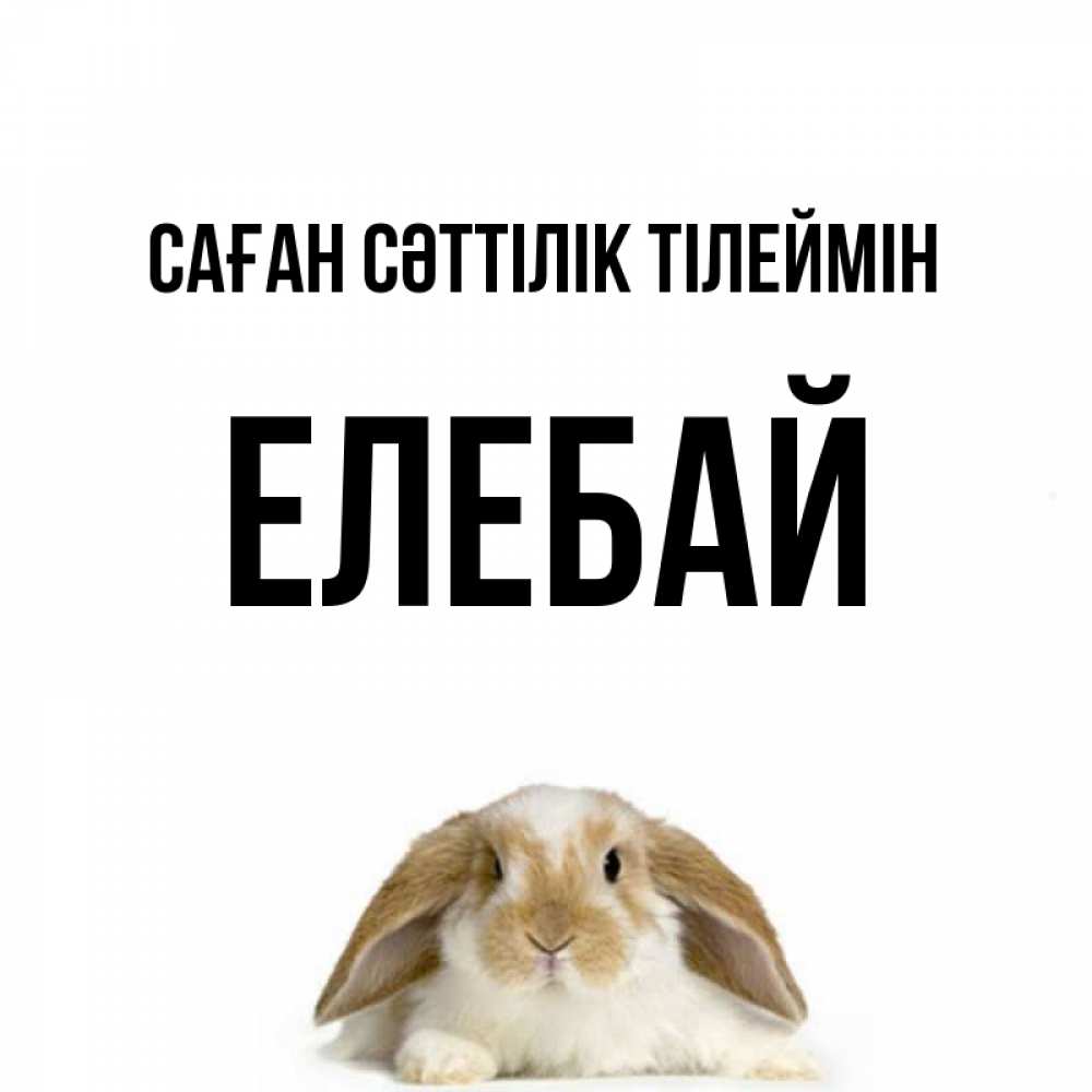 Күн сайын ашық хат с именем, Елебай Саған сәттілік тілеймін открытки с произвольным текстом который можно вставить в открытку и создать ее самостоятельно бесплатно онлайн Онлайн тегін жүктеп алу тілектері бар керемет карта 