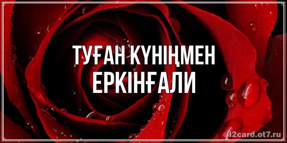 Күн сайын ашық хат с именем, Еркінғали Туған күніңмен крупная бордовая роза Онлайн тегін жүктеп алу тілектері бар керемет карта 